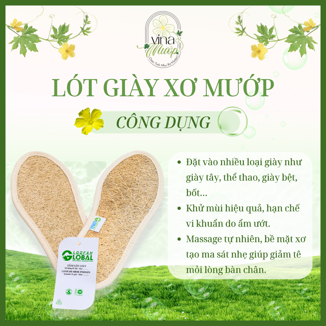 Tấm lót giầy